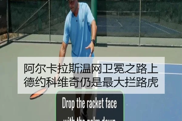 阿尔卡拉斯温网卫冕之路上 德约科维奇仍是最大拦路虎 - hth
