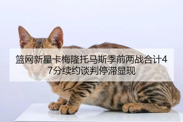 篮网新星卡梅隆托马斯季前两战合计47分续约谈判停滞显现（hth）